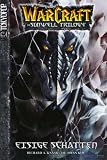 Warcraft - The Sunwell Trilogy Book 2 - Eisige Schatten (in German)