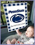 Penn State University Sunshade