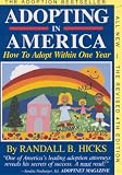 Adopting in America: How to Adopt Within One Year