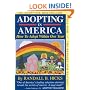Adopting in America: How to Adopt Within One Year