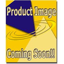 Broderbund Mavis Beacon Teaches Typing 16 - For Windows or Mac by Broderbund