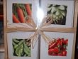 Garden Greetings Mini Notes with Envelopes