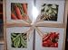 Garden Greetings Mini Notes with Envelopes