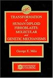 Transformation of Human Diploid Fibroblasts: Molecular and Genetic Mechanisms