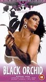 Black Orchid [VHS] [1995]