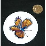 3 button pin printed with insect, blue, butterfly, western, pygmy by Shop Zeus