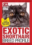 Exotic Shorthair Breed Profile (Your Cat Magazine Breed Profiles)