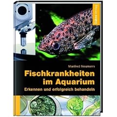 Fischkrankheiten im Aquarium: Erkennen und erfolgreich behandeln
