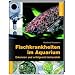 Fischkrankheiten im Aquarium: Erkennen und erfolgreich behandeln