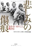 悲しみの傷痕―忘れないあのこと、戦争2