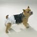incontinence44 - ClearQuest Disposable Doggy Diapers 10CT XS
