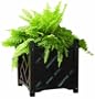 DMC Products Chippendale 18-Inch Square Solid Wood Planter, Black