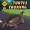 Turtle Books