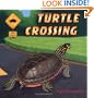 Turtle Crossing