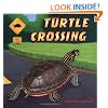 Turtle Crossing