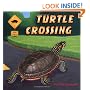 Turtle Crossing