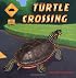 Turtle Crossing