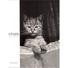 Les Chats