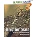 Bristlenoses: Catfish with Character