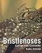Bristlenoses: Catfish With Character