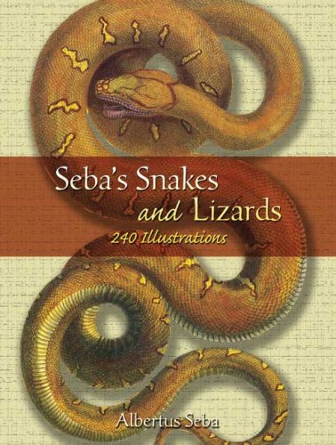 Seba's Snakes and Lizards: 240 Illustrations (Dover Pictorial Archive Series)
