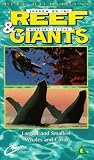 Review Creation Entertainment Ltd.  / Blue Wilderness - Shadow On The Reef / Nursery Of The Giants