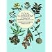 Floral Illustrations: A Treasury of Nineteenth-Century Cuts (Dover Pictorial Archive)