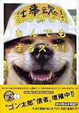 飯の為なら　なんでもするズラ！ 画像