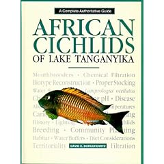 African Cichlids of Lake Tanganyika