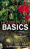 Houseplant basics