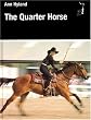 The Quarter Horse