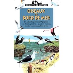Oiseaux du bord de mer