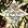 Songs of Angels: Christmas Hymns & Carols