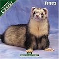 Ferrets 2007 Wall Calendar