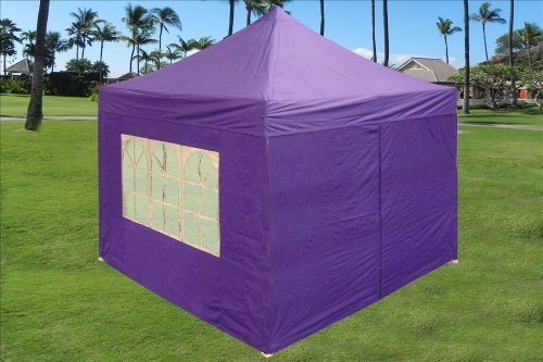 Delta Canopies 10x10 Ez Pop Up Canopy Party Tent Instant