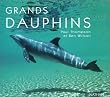 Portraits nature : dauphins