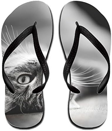 Terenccam Men Seaside Animal Cat Sandal 10 B(m) Us