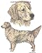 Golden Retriever - Double Image by Cindy Farmer