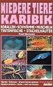 Niedere Tiere Karibik: Korallen, Schw&auml;mme, Krebse, Muscheln, Tintenfische, Stachelh&auml;uter. Florida, Bahamas, Grosse und Kleine Antillen, Niederl. Antillen, Belize, Golf von Mexiko