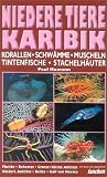 Niedere Tiere Karibik: Korallen, Schw�mme, Krebse, Muscheln, Tintenfische, Stachelh�uter. Florida, Bahamas, Grosse und Kleine Antillen, Niederl. Antillen, Belize, Golf von Mexiko
