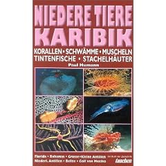 Niedere Tiere Karibik: Korallen, Schw�mme, Krebse, Muscheln, Tintenfische, Stachelh�uter. Florida, Bahamas, Grosse und Kleine Antillen, Niederl. Antillen, Belize, Golf von Mexiko
