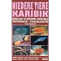 Niedere Tiere Karibik: Korallen, Schw�mme, Krebse, Muscheln, Tintenfische, Stachelh�uter. Florida, Bahamas, Grosse und Kleine Antillen, Niederl. Antillen, Belize, Golf von Mexiko