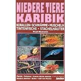 Niedere Tiere Karibik: Korallen, Schw�mme, Krebse, Muscheln, Tintenfische, Stachelh�uter. Florida, Bahamas, Grosse und Kleine Antillen, Niederl. Antillen, Belize, Golf von Mexikovon "Paul Humann"