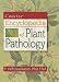 Concise Encyclopedia of Plant Pathology
