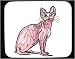 Decorated Mouse Pad with cat, hairless, pink, whiskers, pet