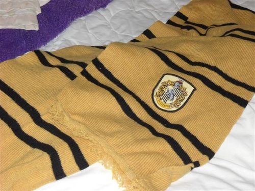 Amazon.com: Harry Potter Hufflepuff House De