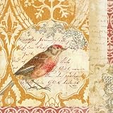 Bird Collage Study I Art Poster Print by Katie Pertiet, 12×12