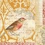 Bird Collage Study I Art Poster Print by Katie Pertiet, 12x12