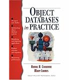 Object Databases in Practice