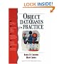 Object Databases in Practice (HP Professional Series)